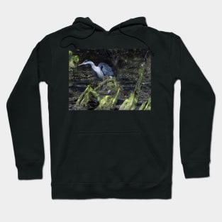 THE FISHER BIRD Hoodie